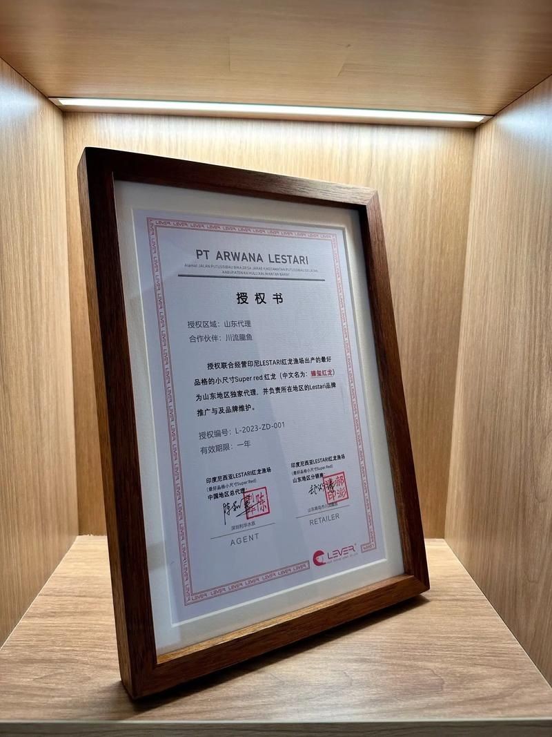 皇宮龍魚(yú)證書(shū)圖片：“皇宮龍魚(yú)”證書(shū)圖片