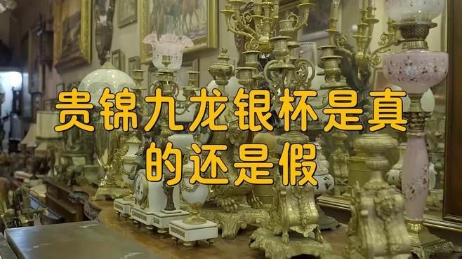 九龍銀杯怎么鑒定真假：九龍銀杯怎么鑒別真假 九龍銀杯怎么鑒定真假：九龍銀杯怎么鑒別真假 龍魚百科 第6張