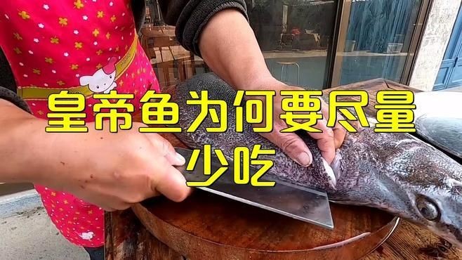 皇帝魚為何要盡量少吃：皇帝魚為什么要少吃