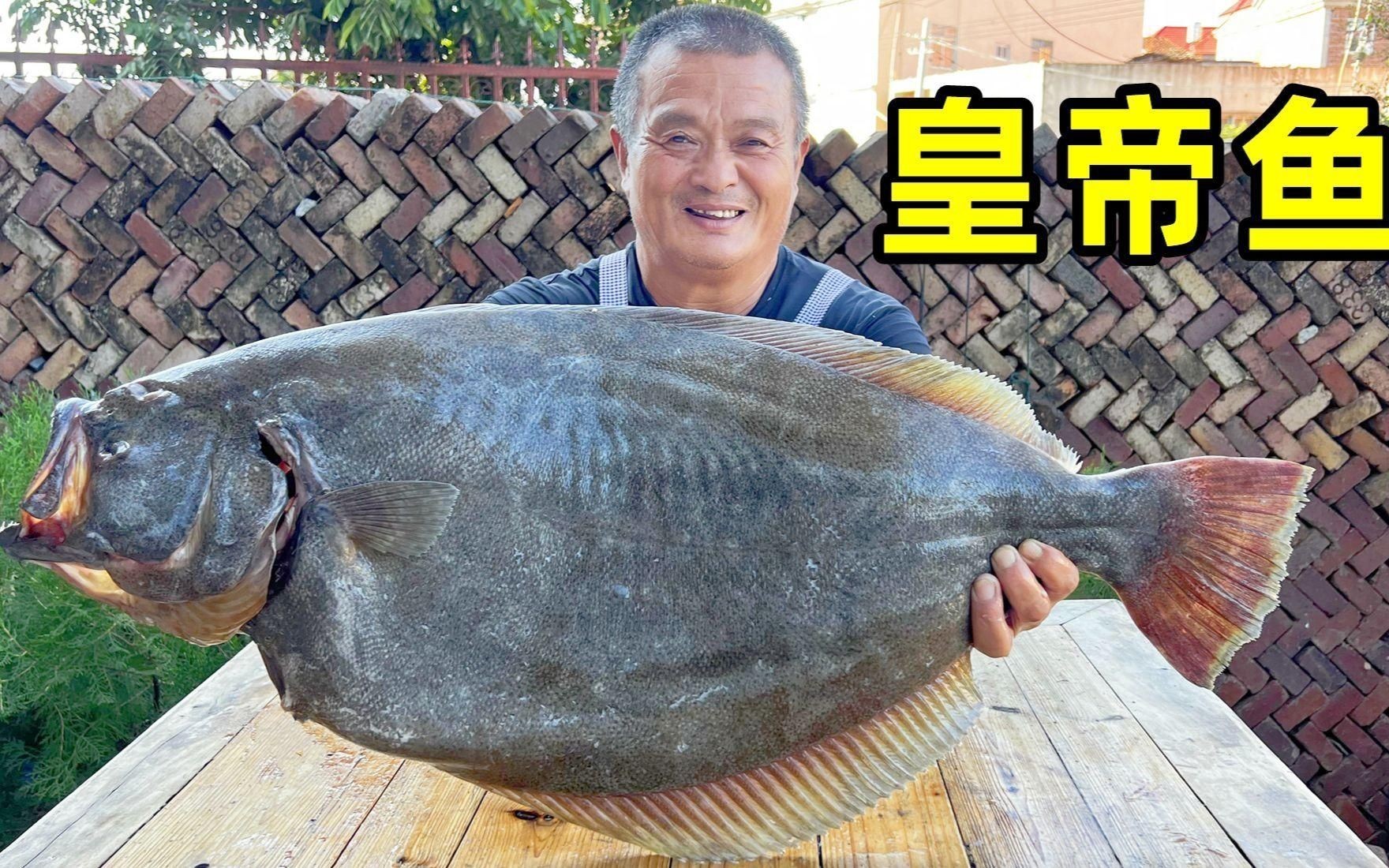 皇帝魚為何要盡量少吃：皇帝魚為什么要少吃