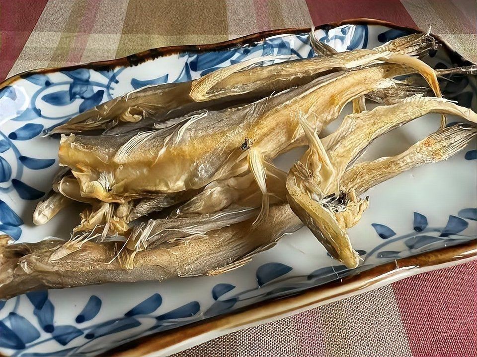 山南龍魚店：山南龍魚店開了十五年的龍魚店