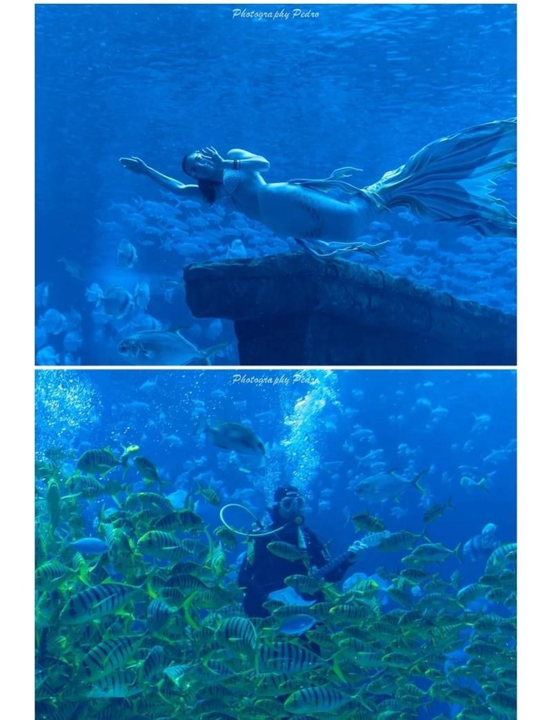 昆明水族館：昆明旅游攻略之昆明水族館 昆明水族館：昆明旅游攻略之昆明水族館 全國水族館企業名錄 第5張