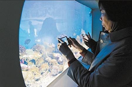 昆明水族館：昆明旅游攻略之昆明水族館 昆明水族館：昆明旅游攻略之昆明水族館 全國水族館企業名錄 第8張