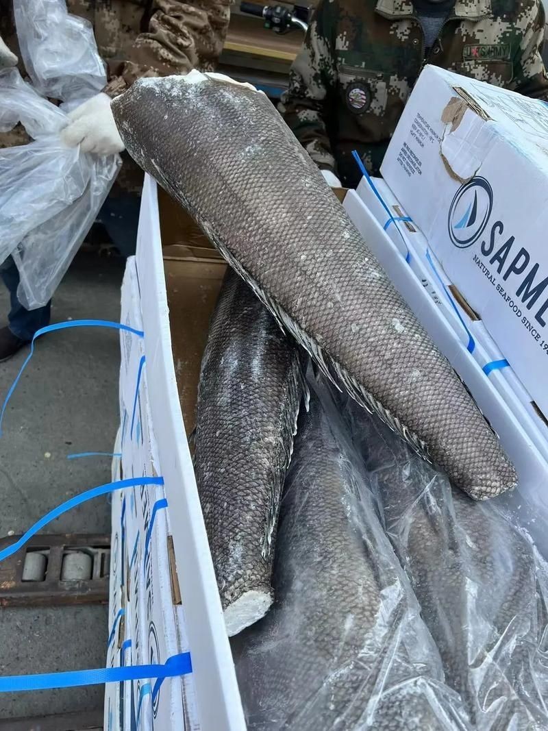 各種血魚圖片：大西洋鱈魚如何分辨鱈魚的真假,別再被名字忽悠了