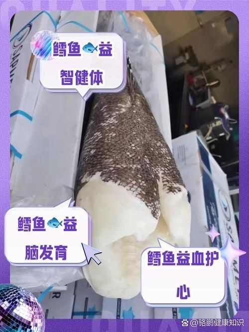 各種血魚圖片：大西洋鱈魚如何分辨鱈魚的真假,別再被名字忽悠了