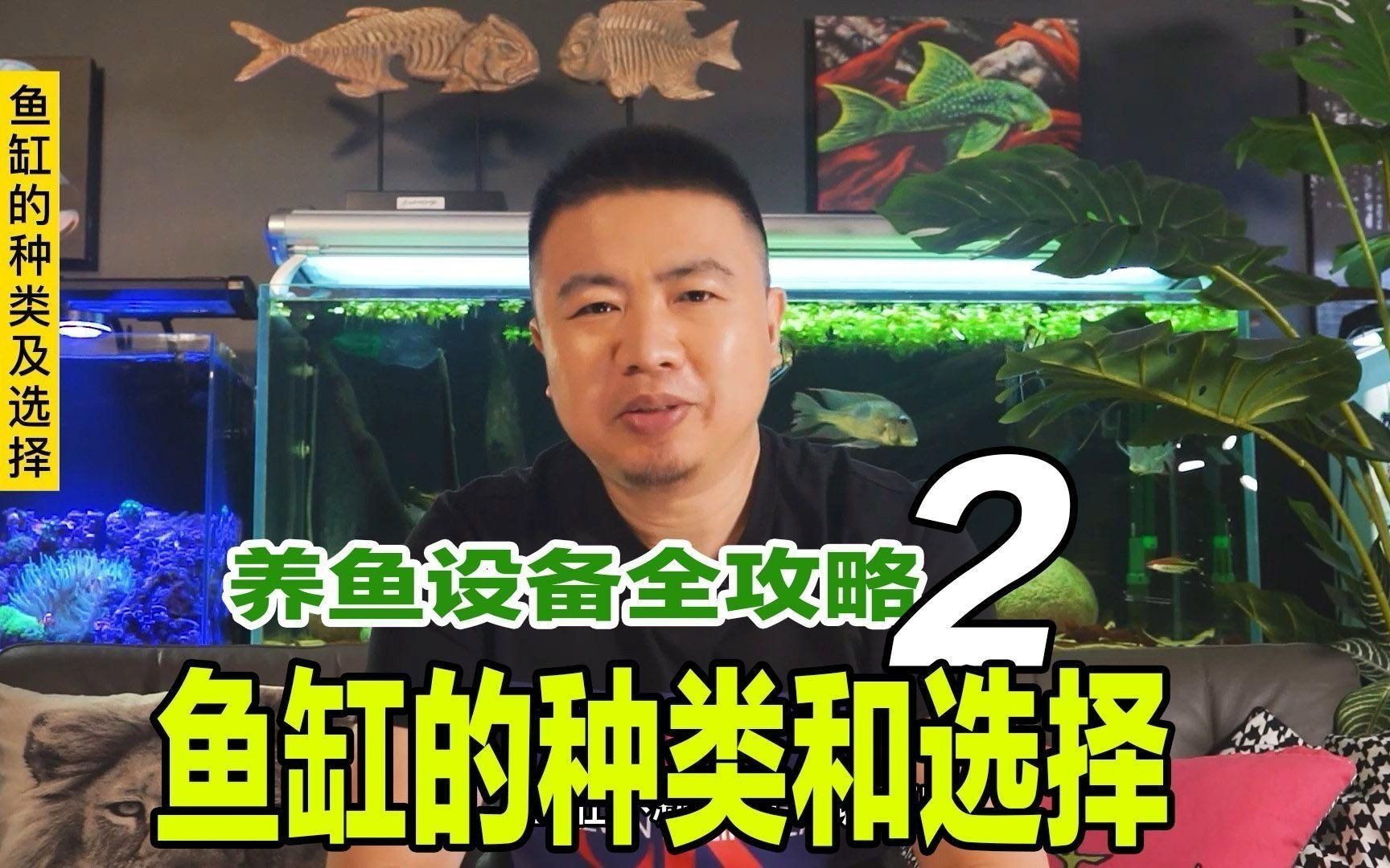 各種魚缸大全：新手入門魚缸大全，適合養(yǎng)魚者的魚缸類型及選購建議