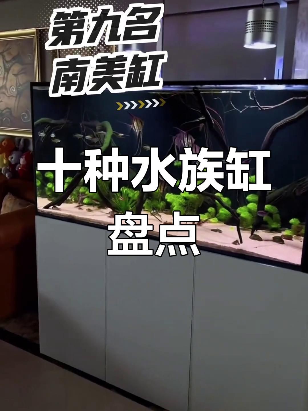 各種魚(yú)缸大全：新手入門(mén)魚(yú)缸大全，適合養(yǎng)魚(yú)者的魚(yú)缸類型及選購(gòu)建議