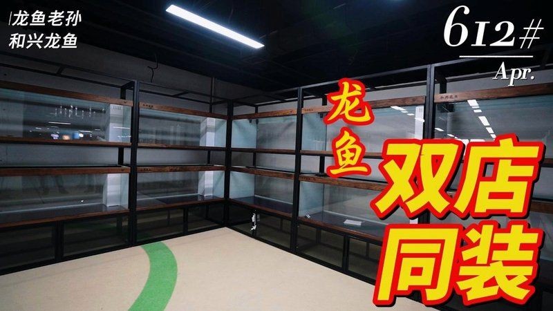和興龍魚一斤大概多少錢：和興龍魚價格究竟多親民和興龍魚有哪些品種 和興龍魚一斤大概多少錢：和興龍魚價格究竟多親民和興龍魚有哪些品種 龍魚論壇 第6張