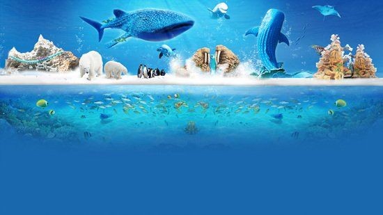 梧州水族館：**《梧州水族館》*鯊魚展區 梧州水族館：**《梧州水族館》*鯊魚展區 全國水族館企業名錄