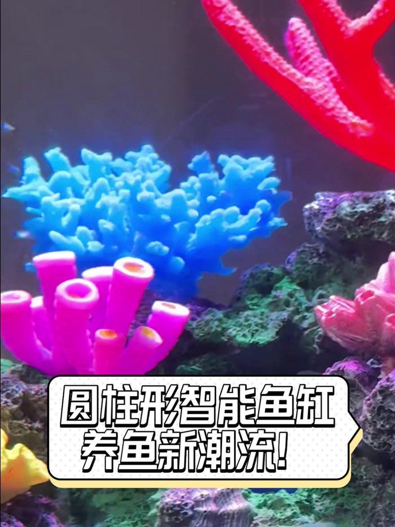 買智能魚缸的十大忠告：買智能魚缸的十大忠告小米智能魚缸二代怎么選