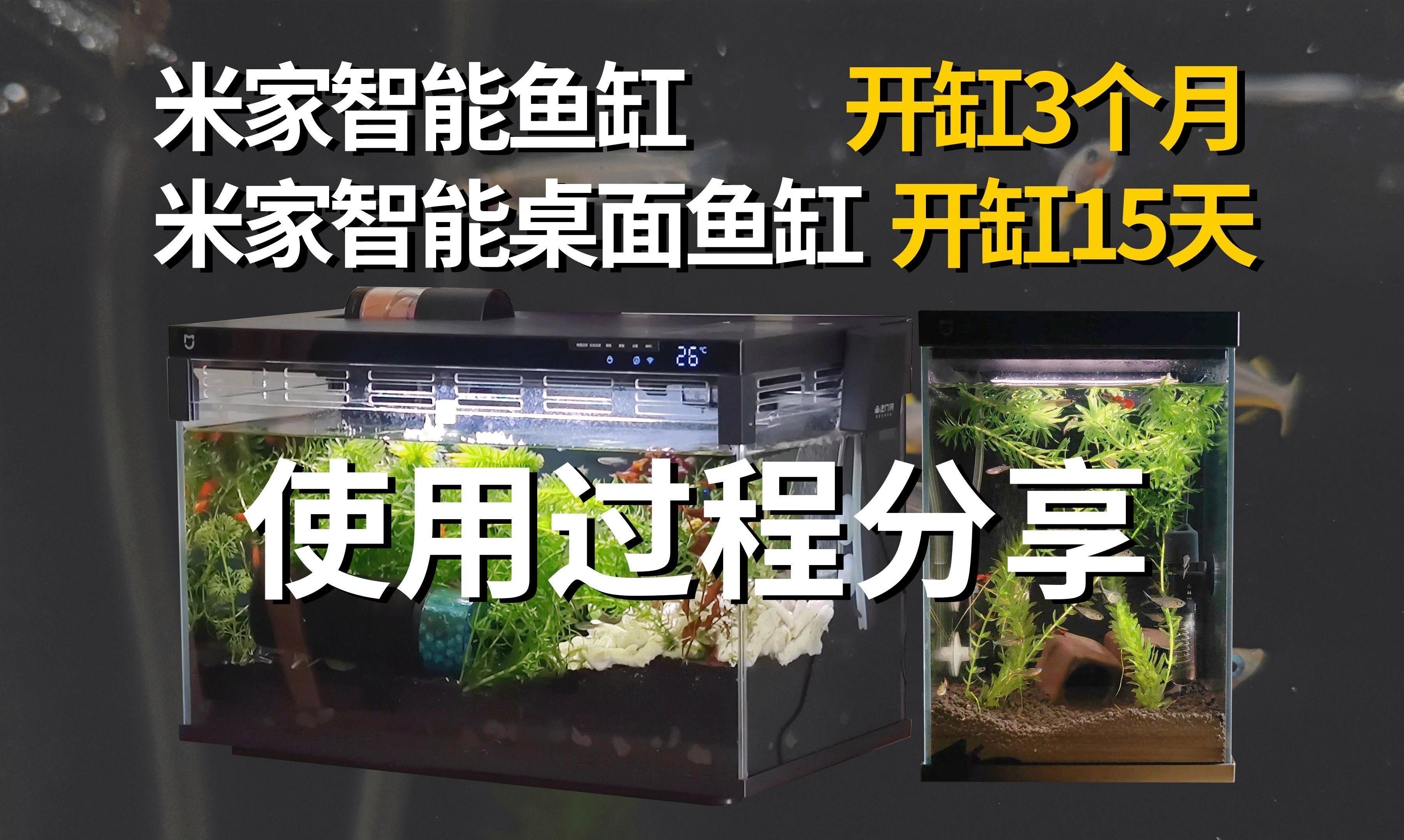 買智能魚缸的十大忠告：買智能魚缸的十大忠告小米智能魚缸二代怎么選