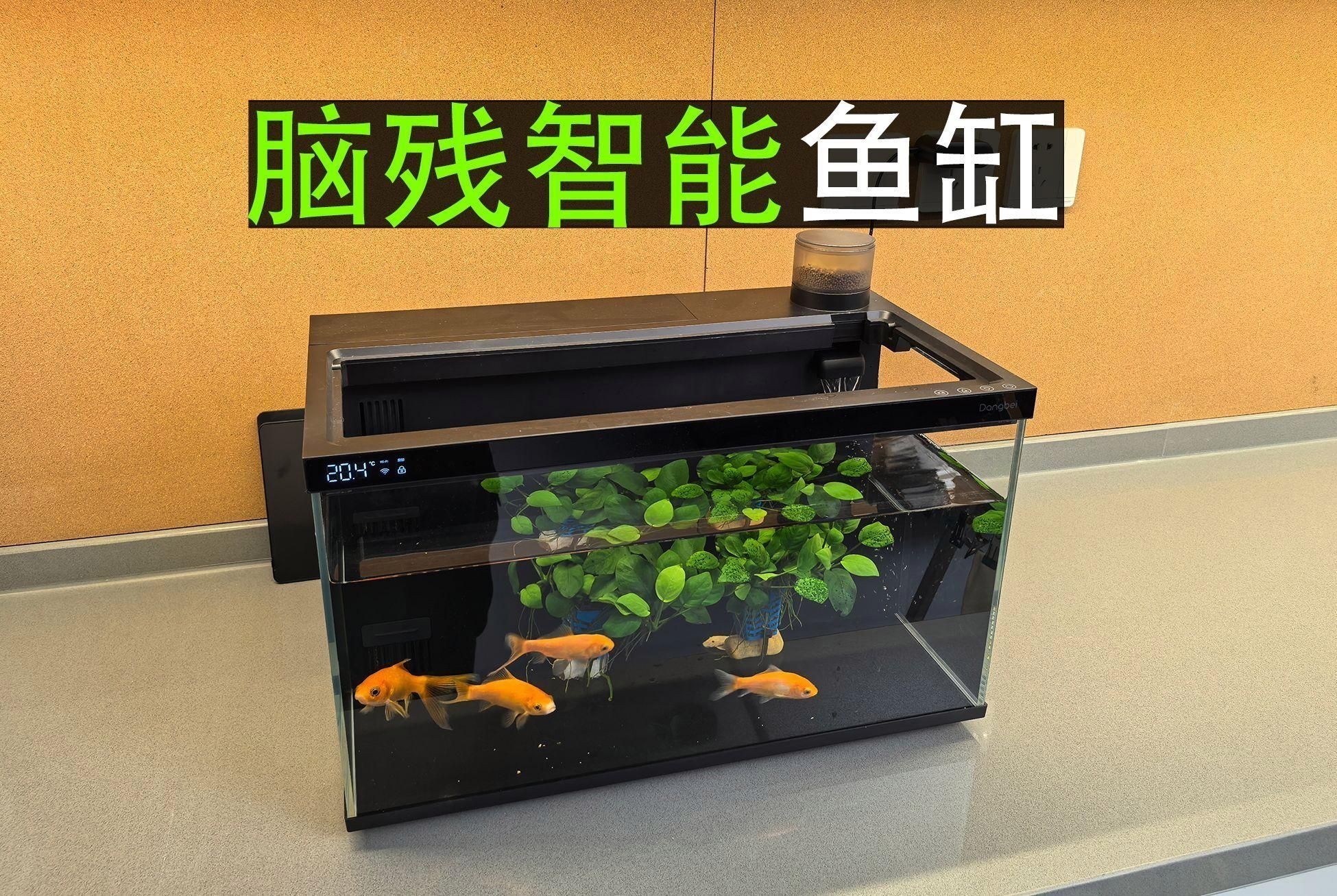 買智能魚缸的十大忠告：買智能魚缸的十大忠告小米智能魚缸二代怎么選