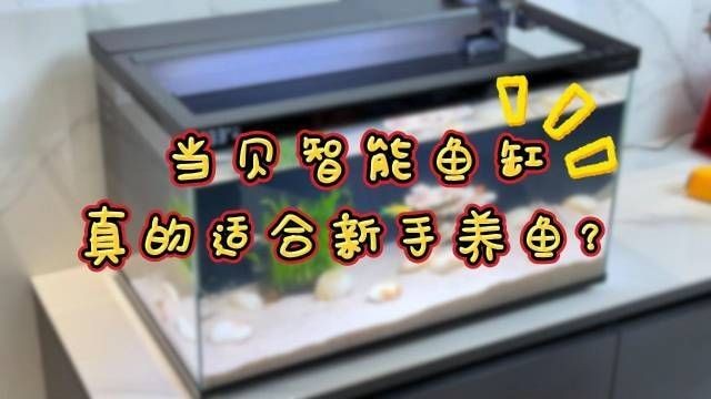 買智能魚缸的十大忠告：買智能魚缸的十大忠告小米智能魚缸二代怎么選