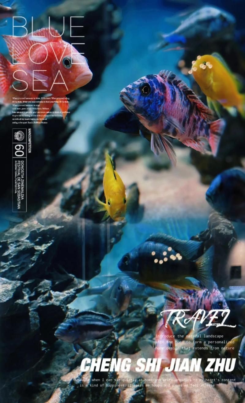 河源水族店：河源萬綠湖漁業(yè)企業(yè)河源水族店