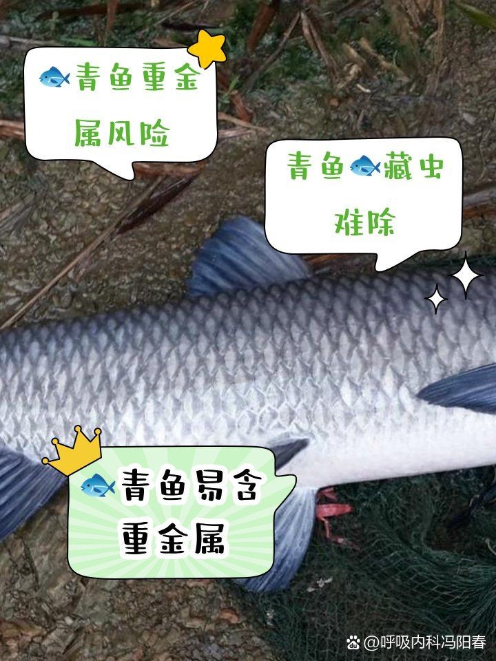 海青魚盡量少吃的原因：醫生:注意這幾點,保護身體健康,醫學科普匯