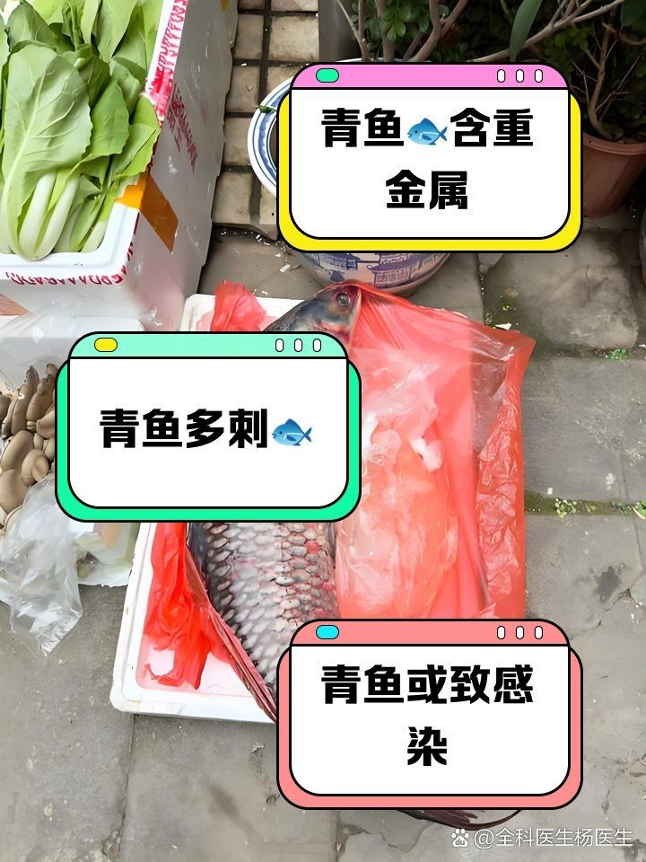 海青魚盡量少吃的原因：醫生:注意這幾點,保護身體健康,醫學科普匯