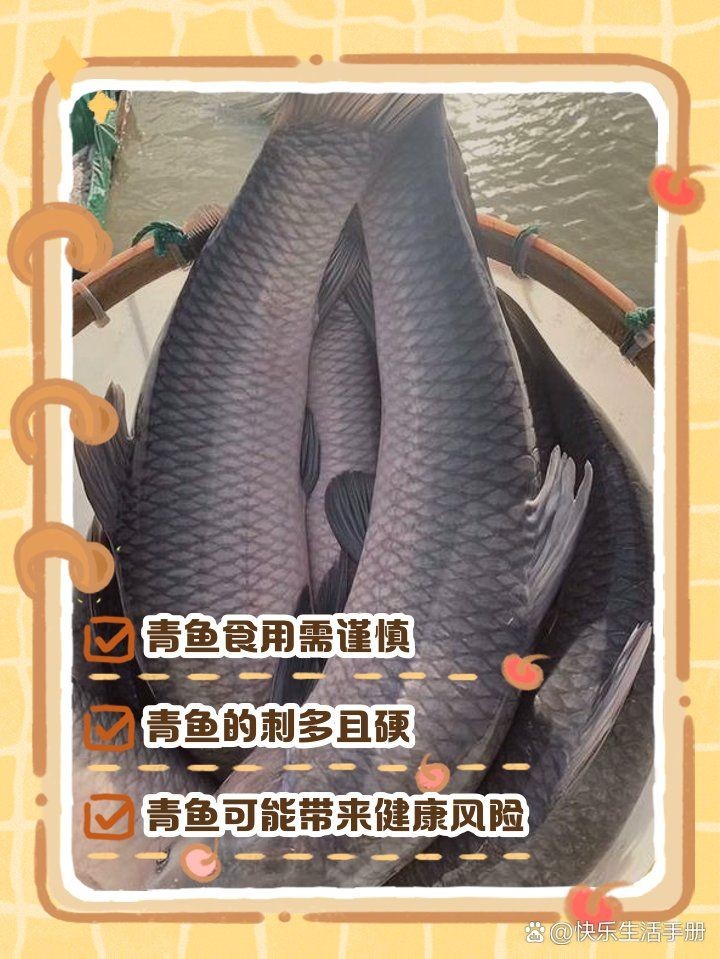 海青魚盡量少吃的原因：醫生:注意這幾點,保護身體健康,醫學科普匯