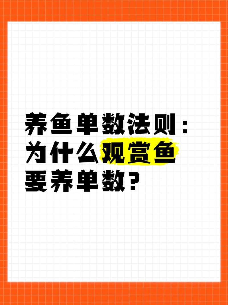 皇冠三間魚養幾條好:皇冠三間魚的最佳混養伙伴有哪些皇冠三間魚的最佳混養伙伴 龍魚論壇 第1張 皇冠三間魚養幾條好:皇冠三間魚的最佳混養伙伴有哪些皇冠三間魚的最佳混養伙伴 皇冠三間魚養幾條好:皇冠三間魚的最佳混養伙伴有哪些皇冠三間魚的最佳混養伙伴 龍魚論壇 第1張