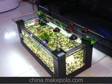 滄州魚缸批發(fā)市場：滄州水族魚缸批發(fā)市場