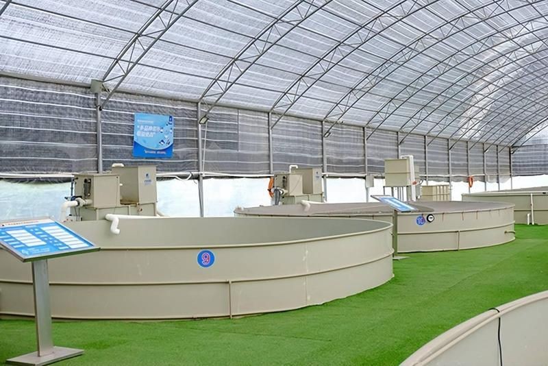 和尚魚有養殖的嗎:養殖和尚魚的注意事項 全國水族館企業名錄 第4張 和尚魚有養殖的嗎:養殖和尚魚的注意事項 和尚魚有養殖的嗎:養殖和尚魚的注意事項 全國水族館企業名錄 第4張