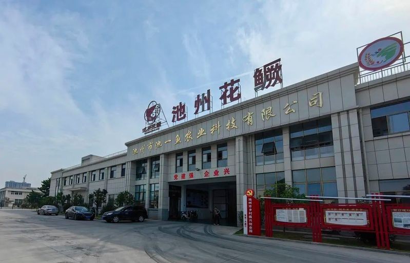 池州龍魚店：**《池州龍魚店：打造專業水族生態美學空間》
