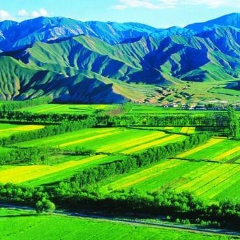 河豚可以用淡水養(yǎng)嗎：河豚能否用淡水養(yǎng)殖？ 河豚可以用淡水養(yǎng)嗎：河豚能否用淡水養(yǎng)殖？ 龍魚論壇 第9張