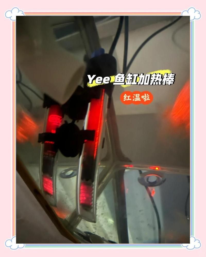 買了就后悔的加熱棒品牌：買了就后悔的加熱棒品牌yee魚缸加熱棒質量堪憂看熱鬧不嫌事大