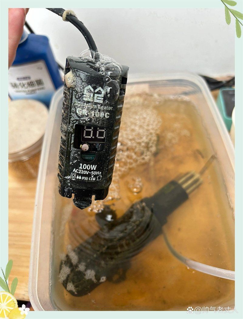 買了就后悔的加熱棒品牌：買了就后悔的加熱棒品牌yee魚缸加熱棒質量堪憂看熱鬧不嫌事大