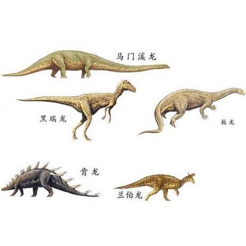 棘龍的食物是什么：棘龍的生活習性