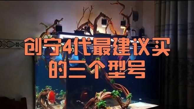 光特億創寧水泵性價比哪個高：光特億水泵vs創寧水泵