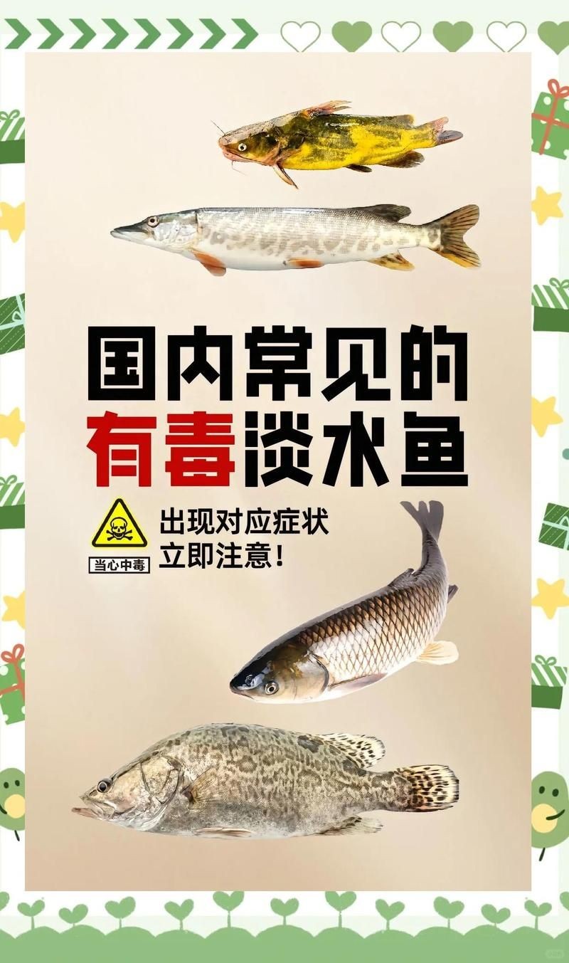 狗魚為什么不建議吃：狗魚市場最臟的4種魚盡量少給家人吃盡量少給家人吃