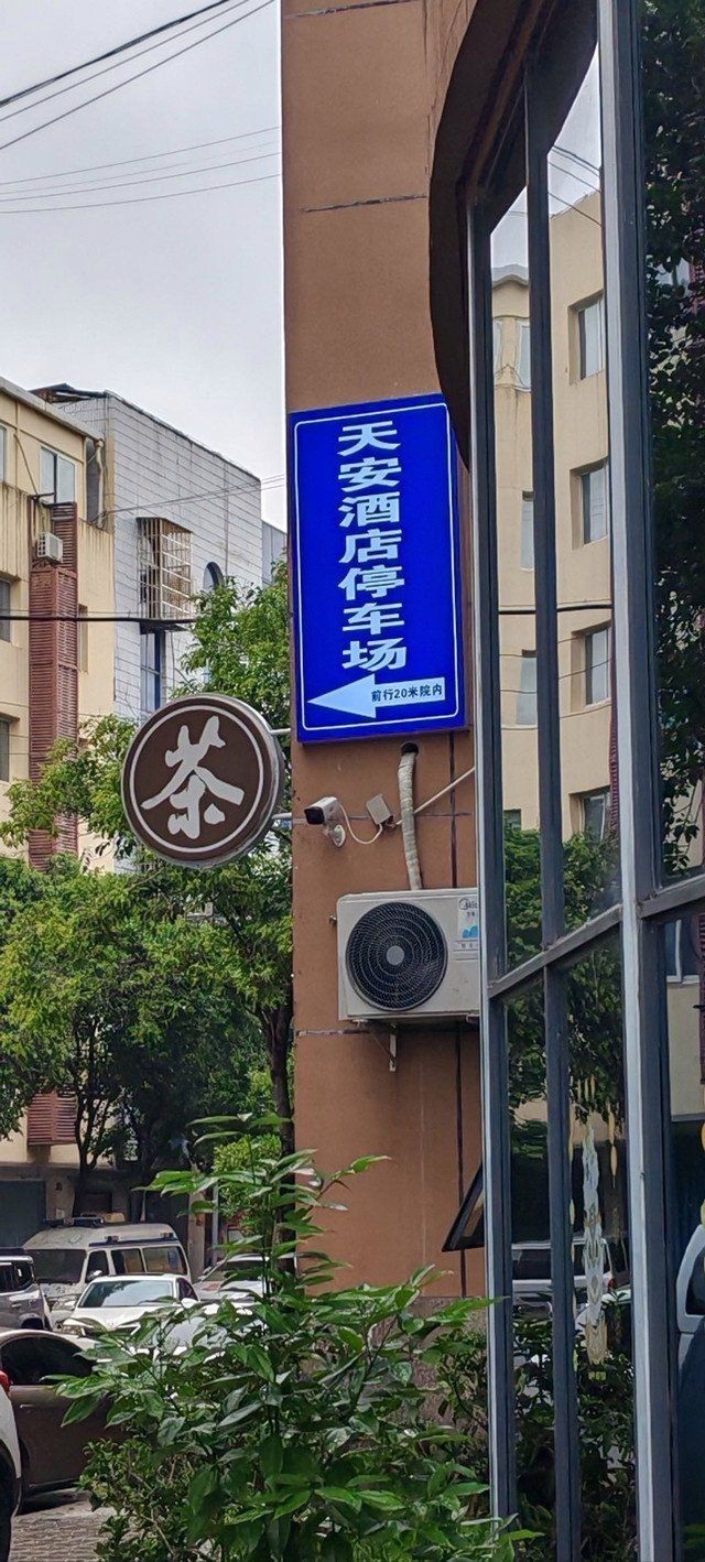 廣元龍魚(yú)店：**《廣元龍魚(yú)店：都市中的水下藝術(shù)殿堂》