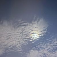 國(guó)聯(lián)水產(chǎn)重組已開始：國(guó)聯(lián)水產(chǎn)啟動(dòng)重大資產(chǎn)重組