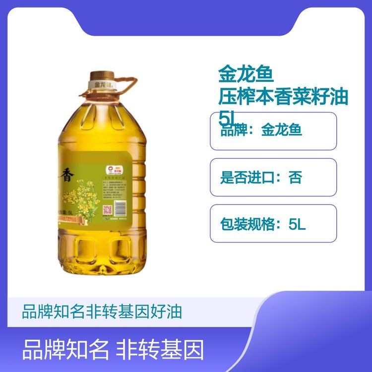 三斤金龍魚價(jià)格表：3斤的金龍魚多少錢一只, 三斤金龍魚價(jià)格表：3斤的金龍魚多少錢一只, 龍魚百科 第5張