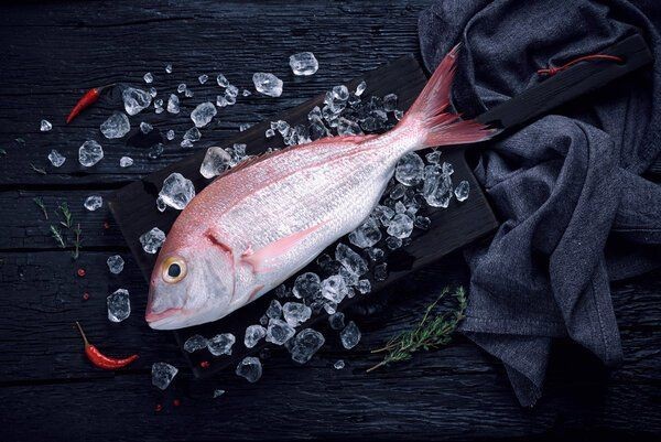 海魚真的不能吃了嗎：關于海魚的健康問題