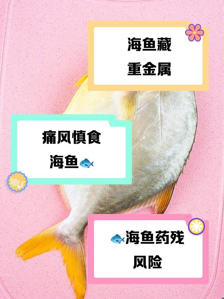 海魚真的不能吃了嗎：關于海魚的健康問題