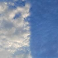河里的龍王是什么級別：《西游記》中河龍王與海龍王的區別是什么涇河龍王在仙界的地位如何