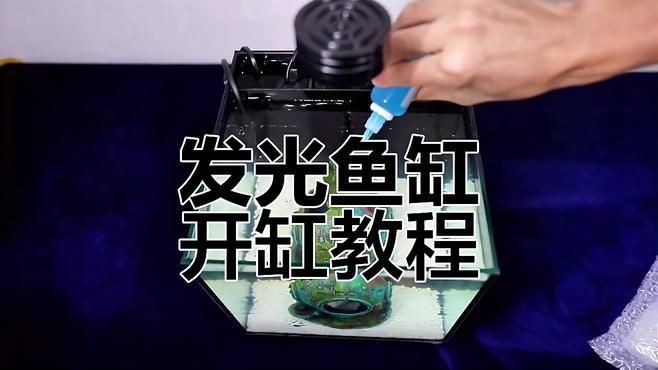 亮彩魚缸最簡單三個步驟：6招把魚缸養成「空氣缸」空氣缸」