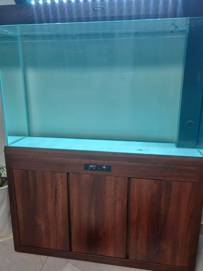 買漢霸魚缸的十大忠告：13,買漢霸魚缸的十大忠告