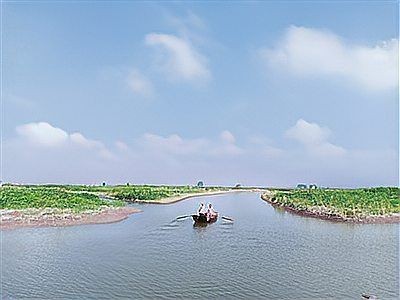 泰州水族批發(fā)市場:泰州水族批發(fā)市場是華東地區(qū)頗具影響力的專業(yè)水族產(chǎn)品集散地 全國水族館企業(yè)名錄 第2張 泰州水族批發(fā)市場:泰州水族批發(fā)市場是華東地區(qū)頗具影響力的專業(yè)水族產(chǎn)品集散地 泰州水族批發(fā)市場:泰州水族批發(fā)市場是華東地區(qū)頗具影響力的專業(yè)水族產(chǎn)品集散地 全國水族館企業(yè)名錄 第2張