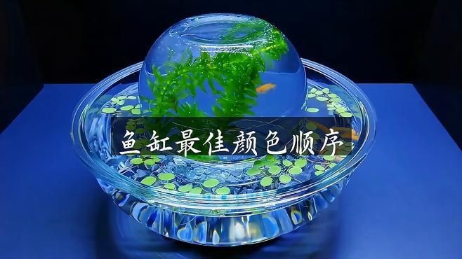 久鼎魚缸最建議買的三個顏色：久鼎魚缸最值得入手的三款顏色，極客汐潮最佳顏色