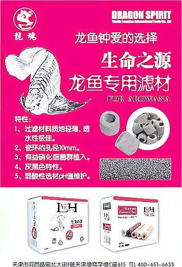 金龍魚嘴上的肉疙瘩會自行消失嗎？，如何判斷金龍魚嘴上的肉疙瘩性質？