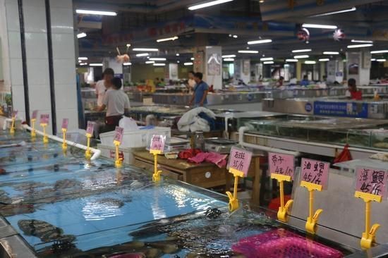 魚尾巴成了一絲一絲的，探討魚尾巴的形態變化時 魚尾巴成了一絲一絲的，探討魚尾巴的形態變化時 龍魚百科 第1張