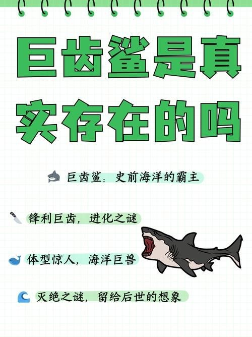 巨齒鯊圖片：史前海洋霸主巨齒鯊，咬合力遠超現代大白鯊，咬合力秒殺霸王龍