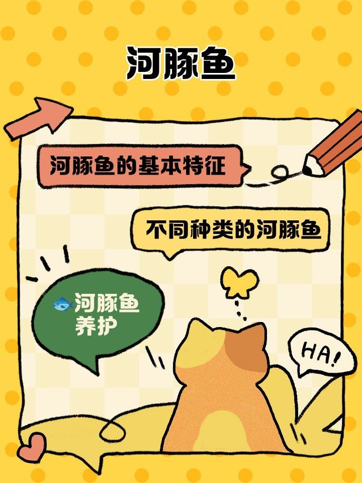 皇冠狗頭魚(yú)和河豚的區(qū)別：皇冠狗頭魚(yú)與河豚的區(qū)別