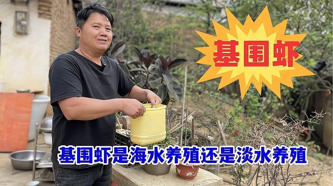 基圍蝦是淡水還是海水養的：基圍蝦并非純粹的淡水或海水生物其養殖環境具有獨特性 基圍蝦是淡水還是海水養的：基圍蝦并非純粹的淡水或海水生物其養殖環境具有獨特性 全國水族館企業名錄 第5張