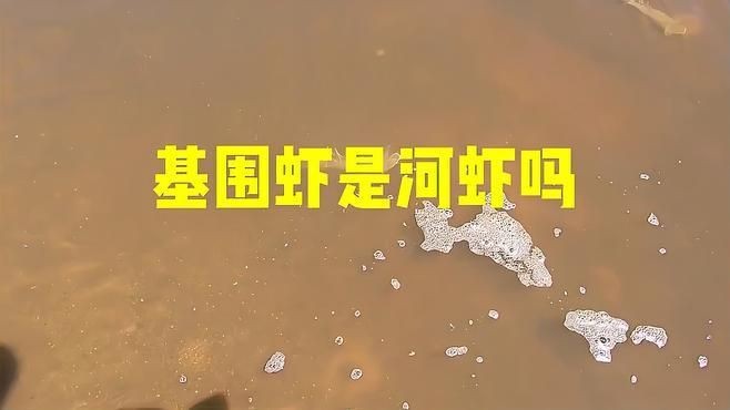 基圍蝦是淡水還是海水養的：基圍蝦并非純粹的淡水或海水生物其養殖環境具有獨特性 基圍蝦是淡水還是海水養的：基圍蝦并非純粹的淡水或海水生物其養殖環境具有獨特性 全國水族館企業名錄 第2張