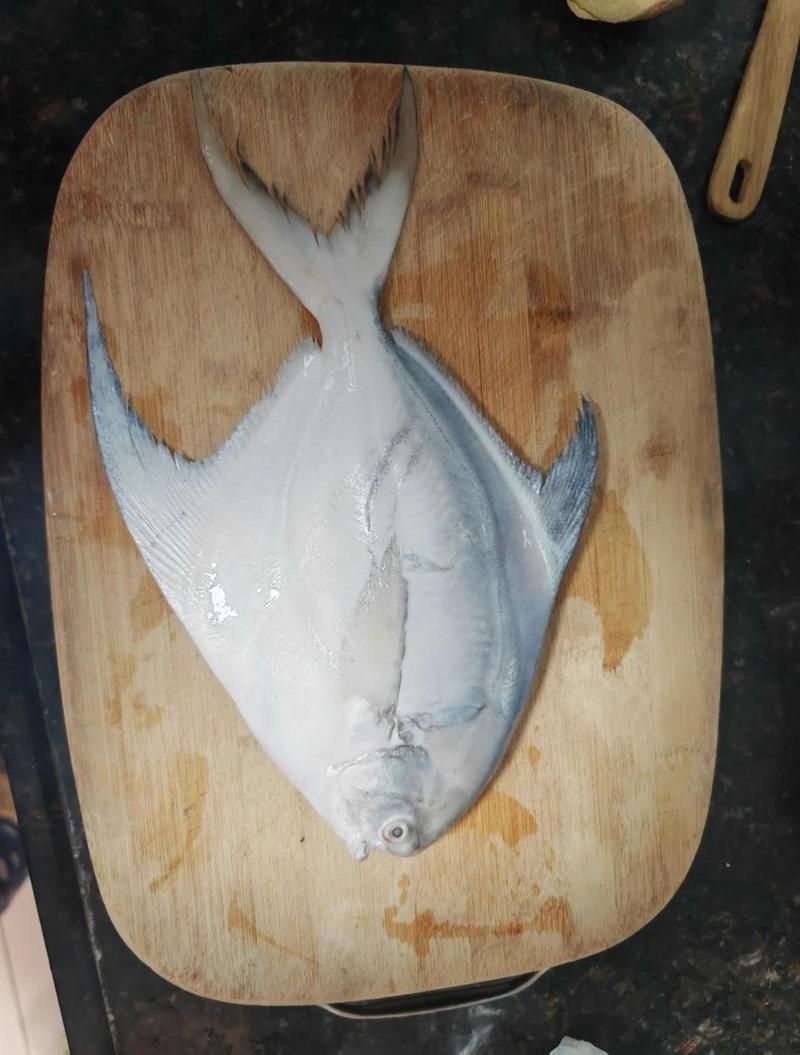 廣州賣金魚的批發(fā)市場(chǎng)在哪里：廣州芳村花鳥魚蟲新世界
