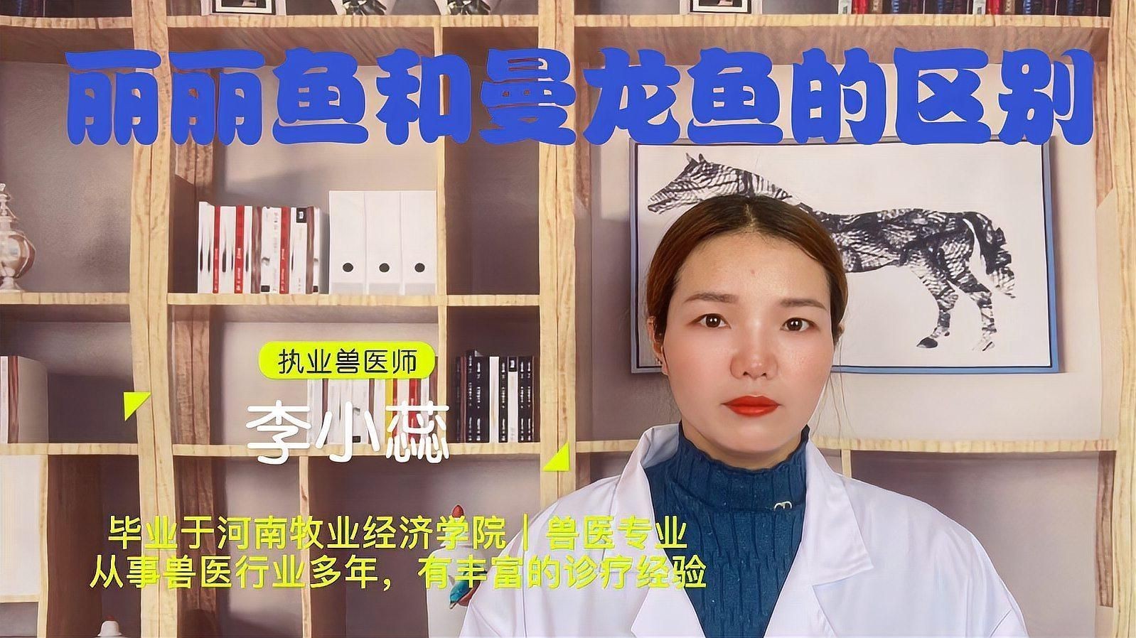 麗麗魚和曼龍魚的區(qū)別：麗麗魚與曼龍魚的區(qū)別有哪些麗麗魚和曼龍魚的區(qū)別 麗麗魚和曼龍魚的區(qū)別：麗麗魚與曼龍魚的區(qū)別有哪些麗麗魚和曼龍魚的區(qū)別 龍魚百科 第3張