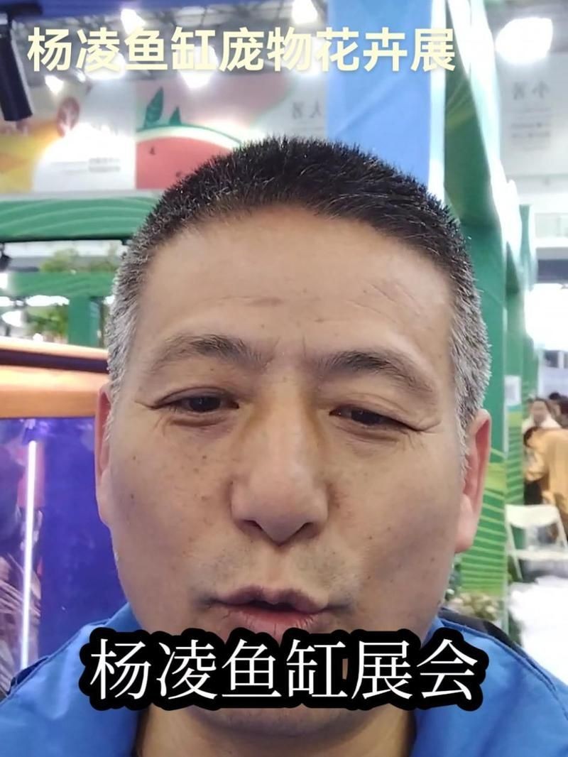 楊凌魚缸批發市場：楊凌魚缸批發市場從傳統零售向技術+服務模式轉型 楊凌魚缸批發市場：楊凌魚缸批發市場從傳統零售向技術+服務模式轉型 全國水族館企業名錄 第14張